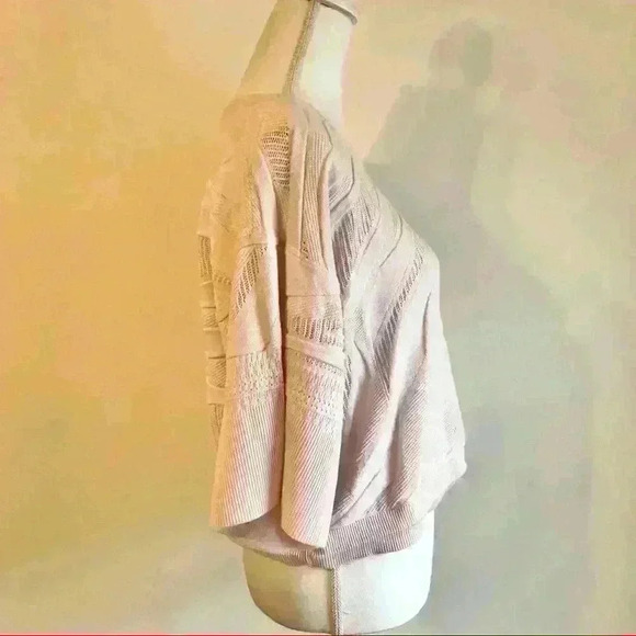 CAbi Blush Zebra Shy Dolman Sleeve Pullover Sweater - Picture 4 of 7